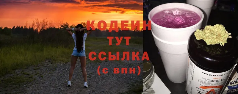 купить закладку  ссылка на мегу зеркало  Кодеин Purple Drank  Верхняя Салда 